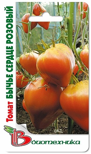 Превью изображения