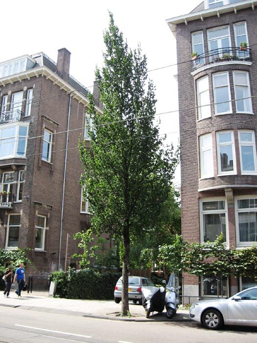 Превью изображения