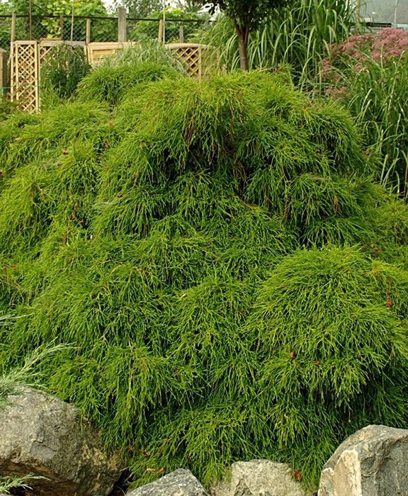 Превью изображения