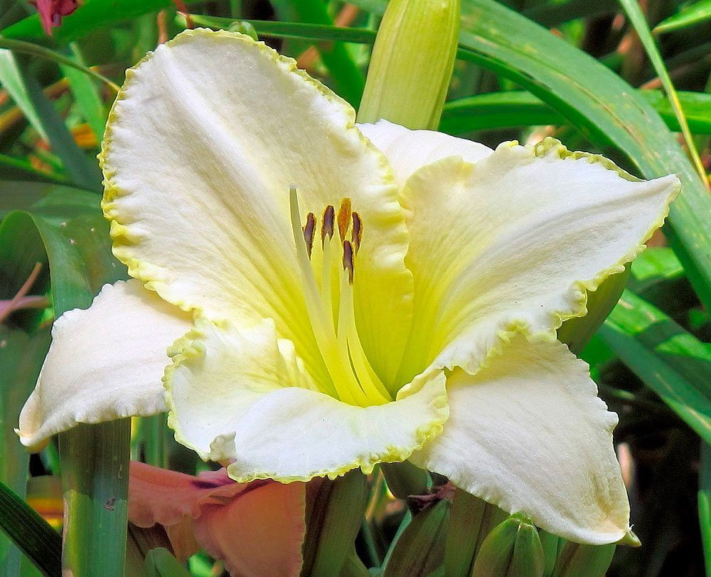 Превью изображения