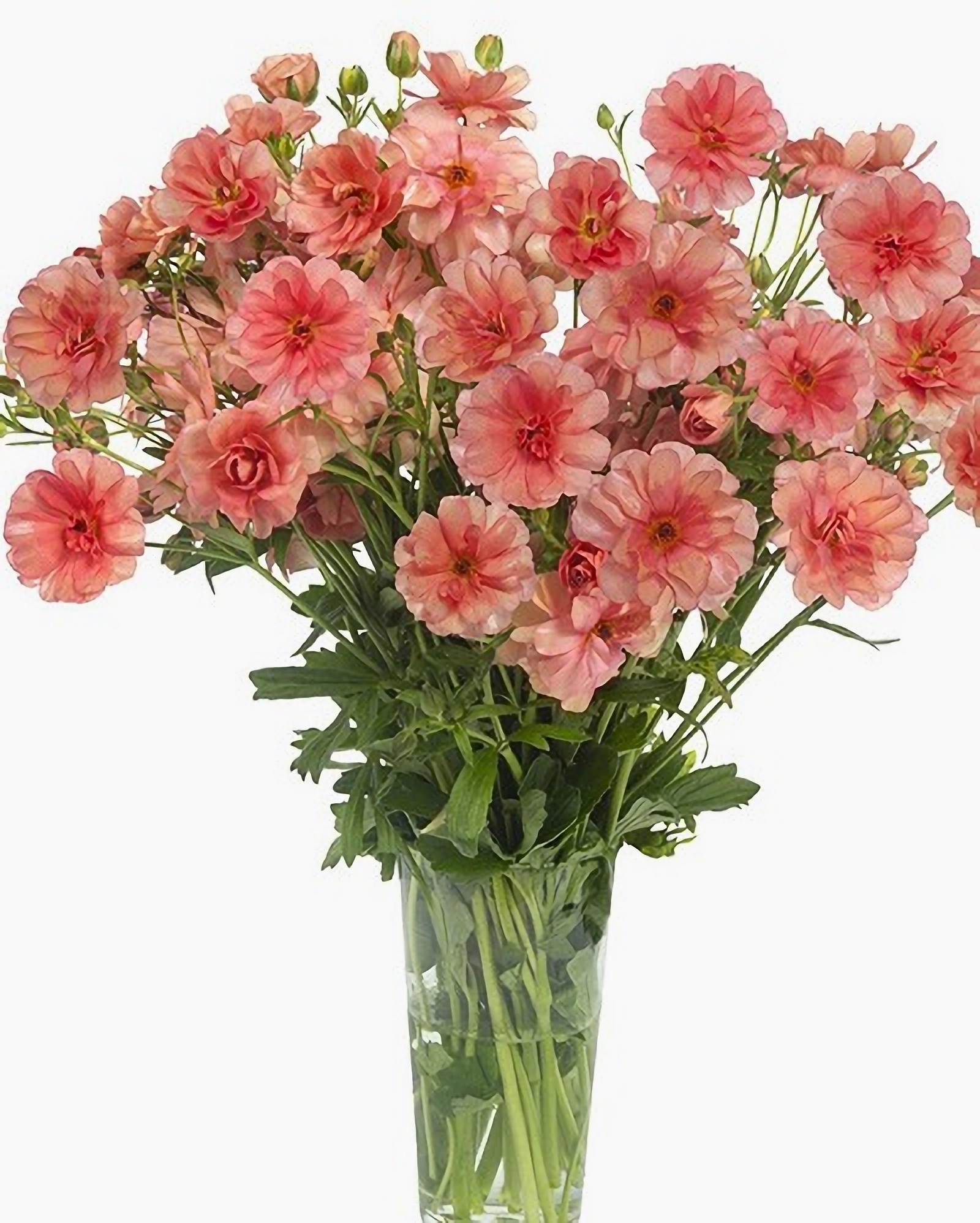 Превью изображения