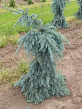 Превью изображения