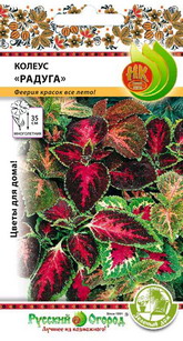 Превью изображения