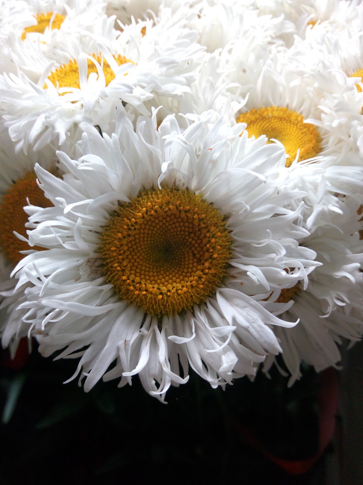 Превью изображения