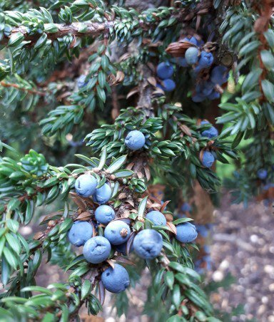 Превью изображения