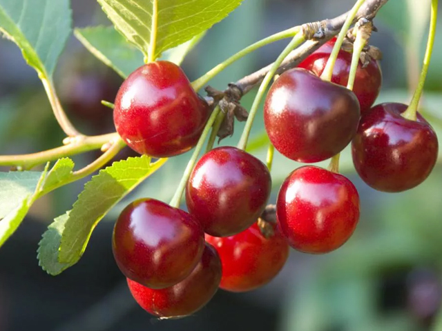 Превью изображения