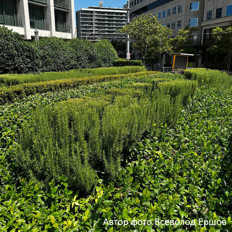 Превью изображения