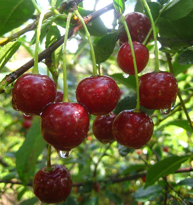 Превью изображения