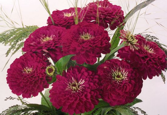 Превью изображения