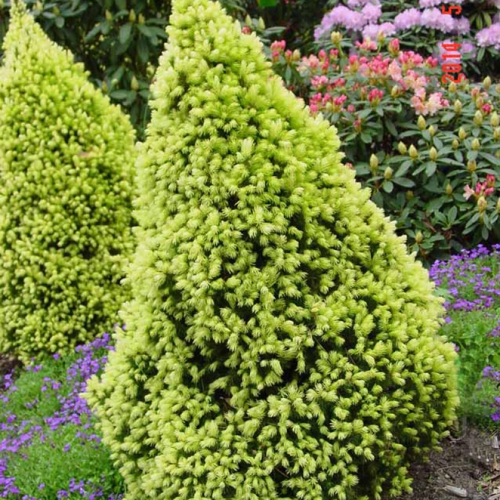 Превью изображения