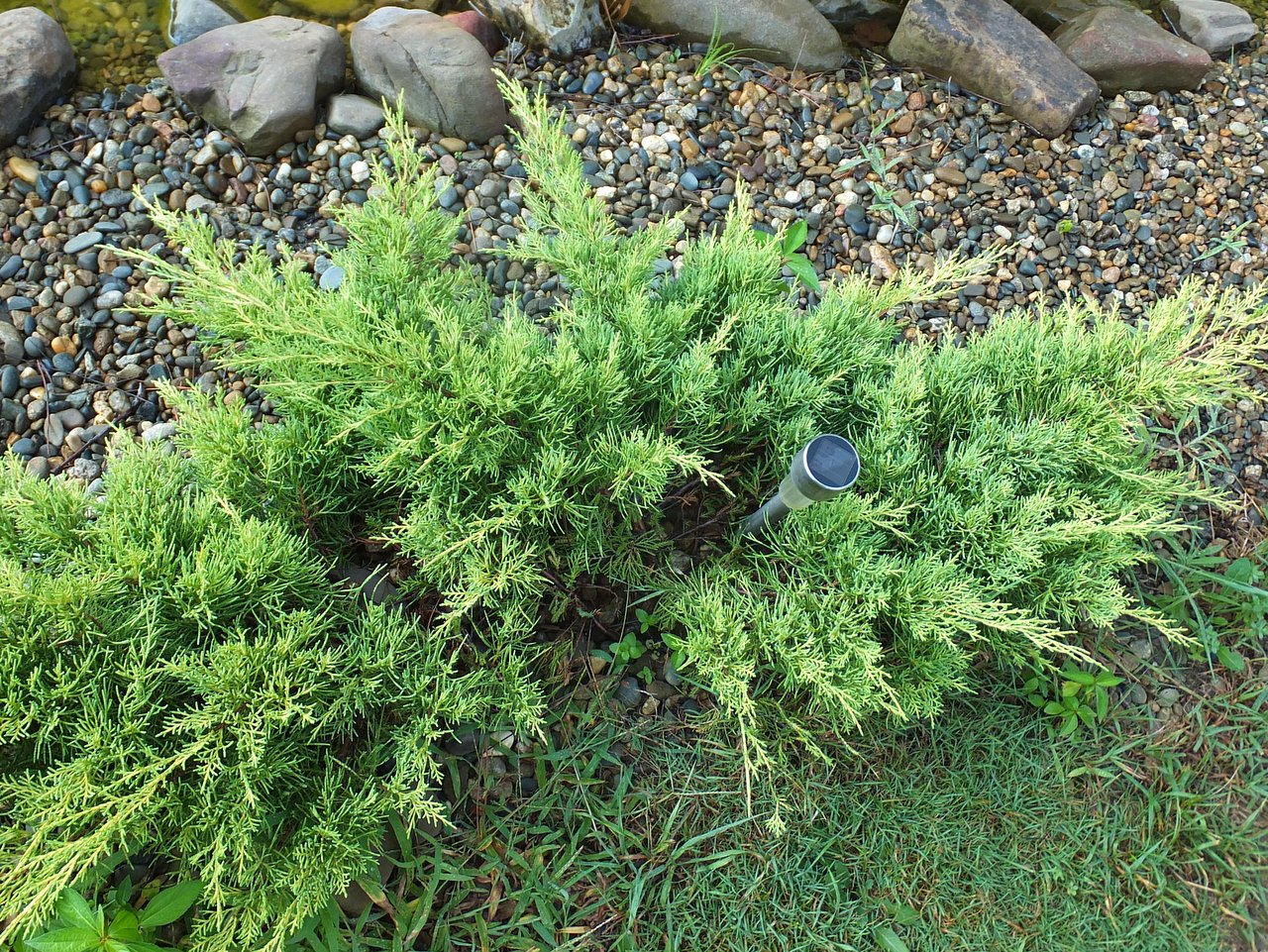 Превью изображения