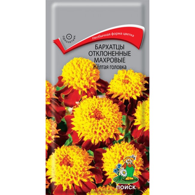 Превью изображения