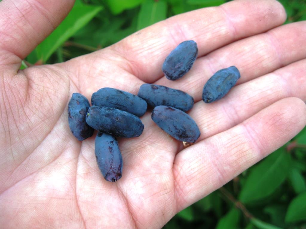 Превью изображения