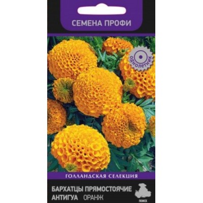 Превью изображения