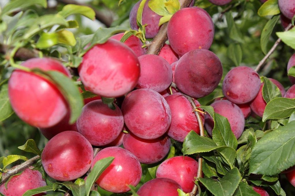 Превью изображения