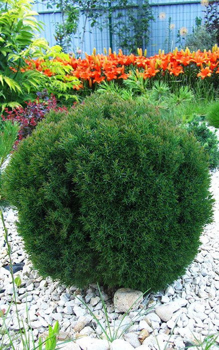 Превью изображения