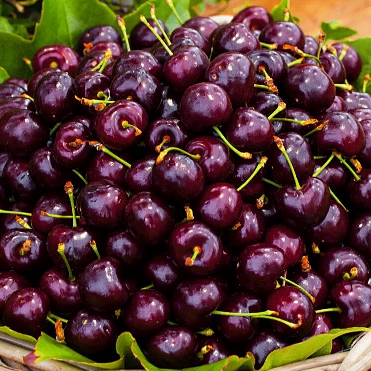 Превью изображения