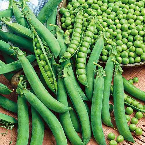 Превью изображения