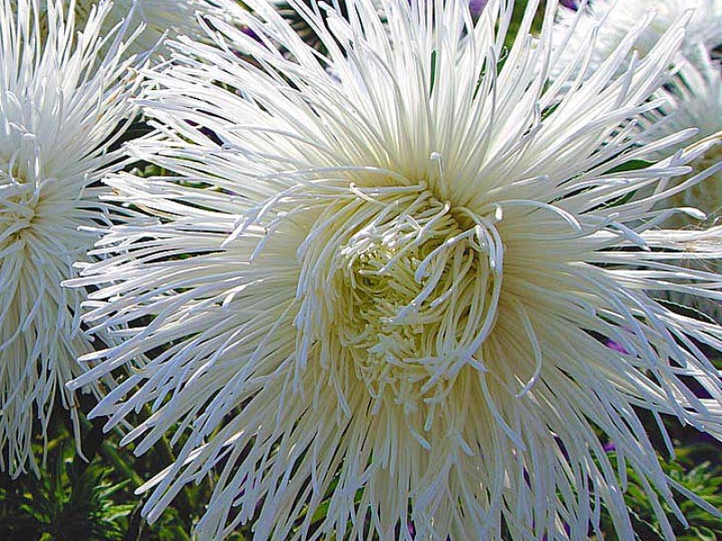 Превью изображения