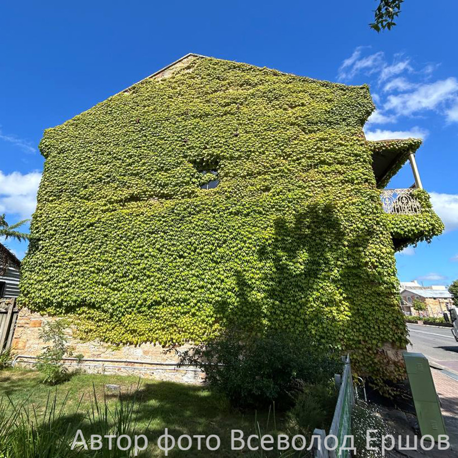 Превью изображения