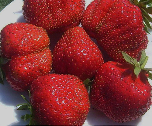 Превью изображения