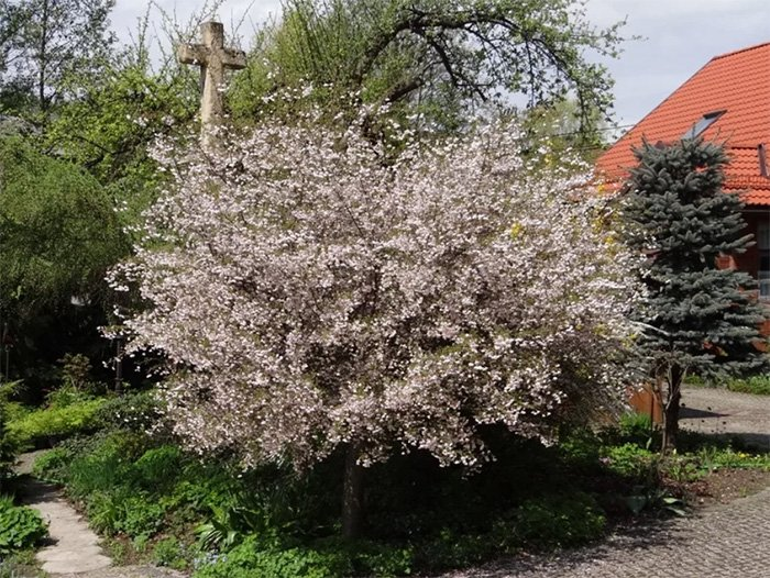 Превью изображения