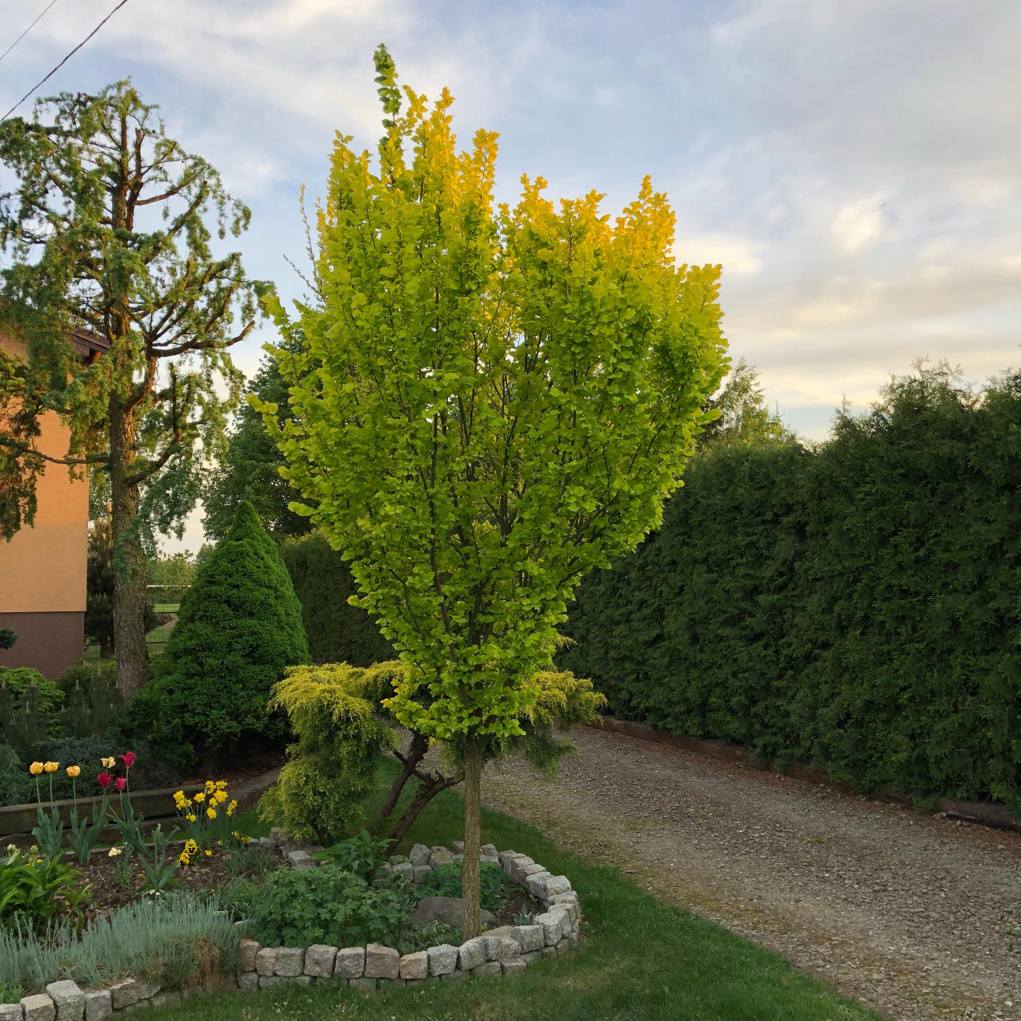 Превью изображения