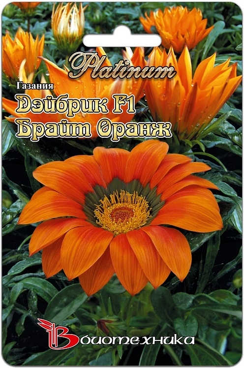 Превью изображения