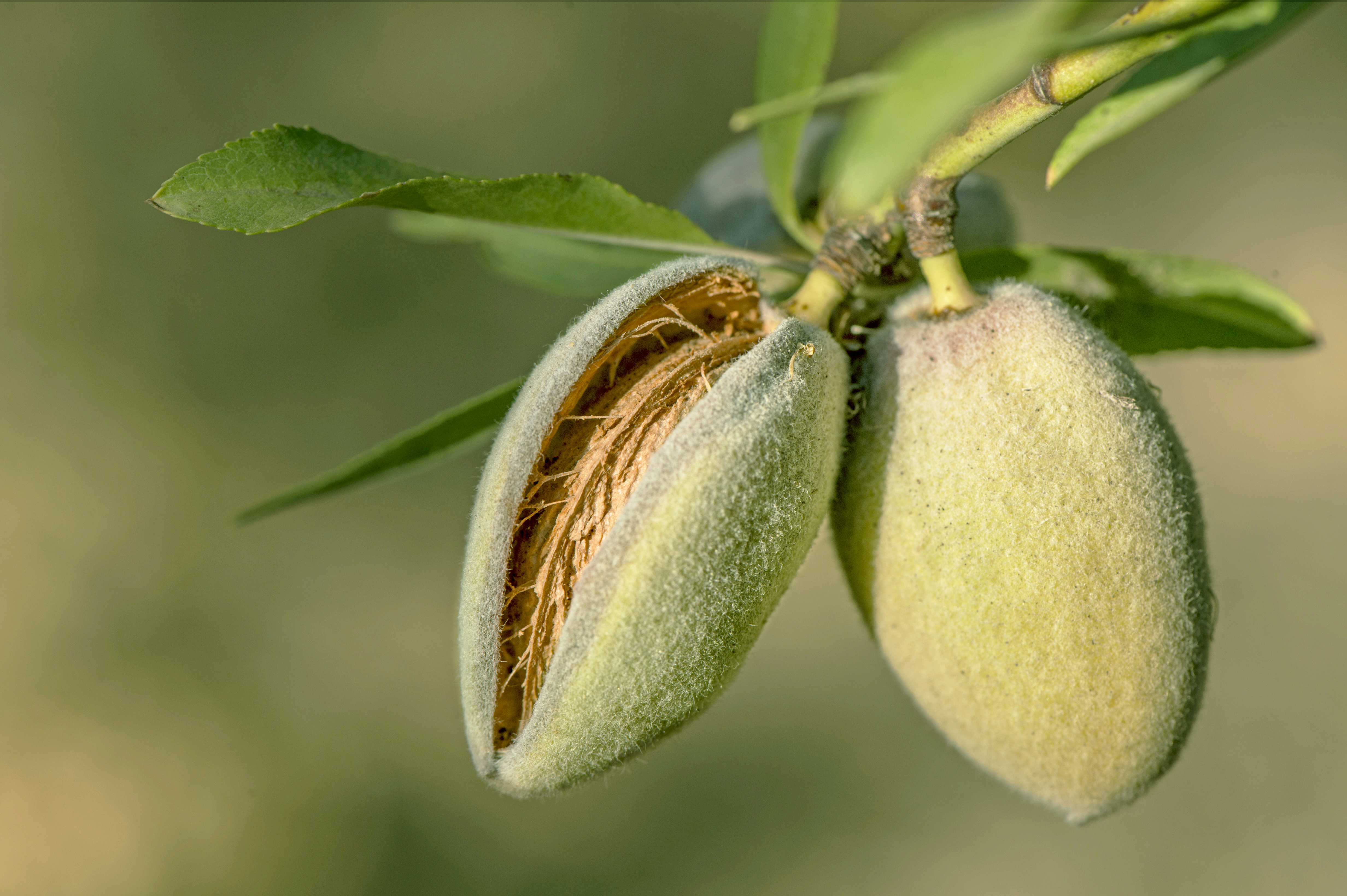 Превью изображения