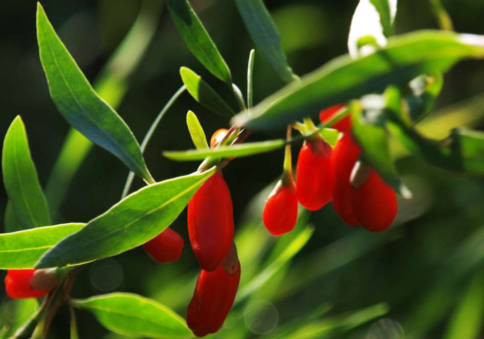 Превью изображения