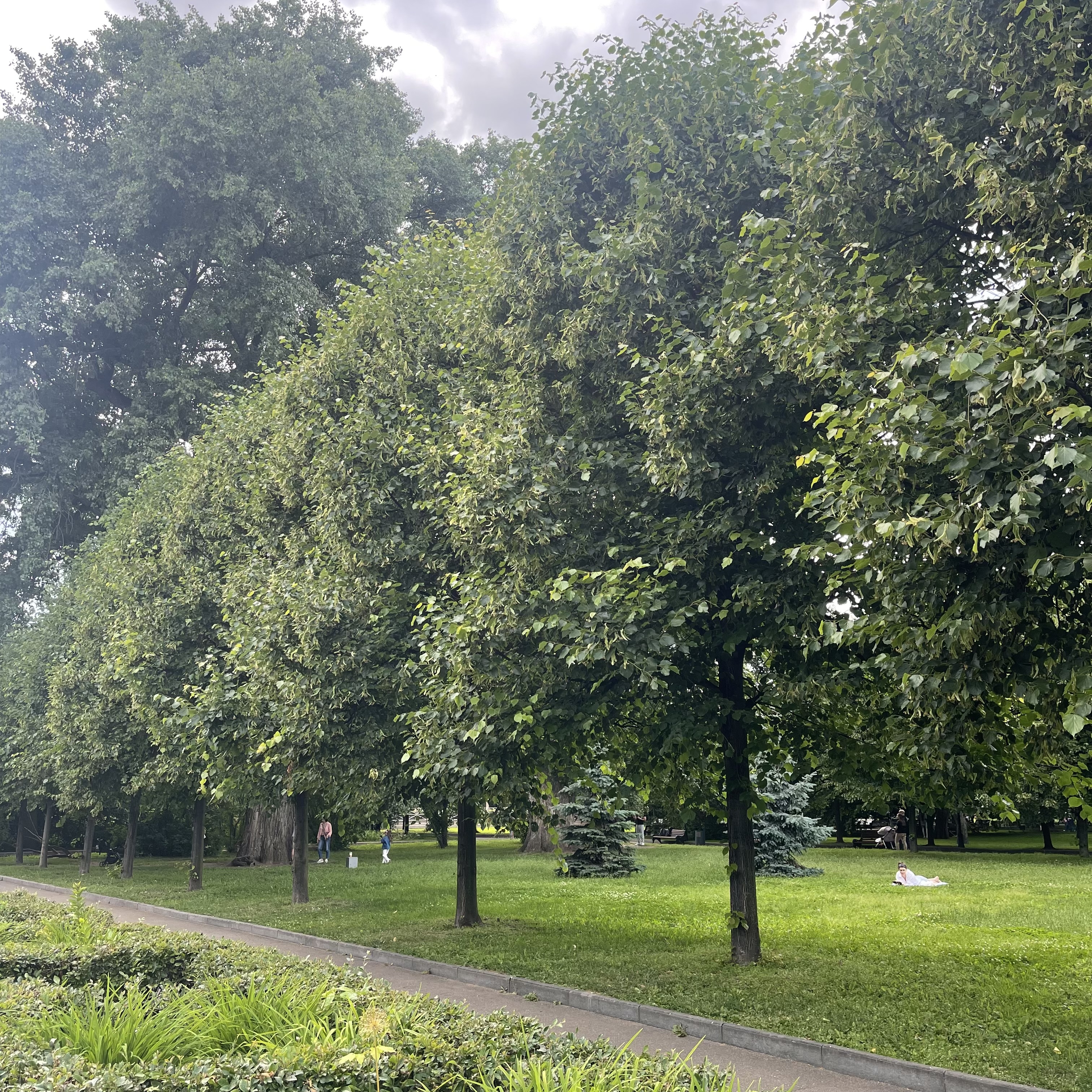 Превью изображения