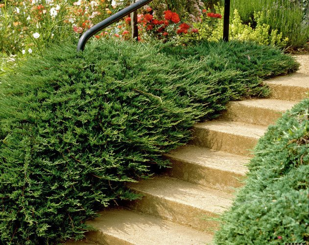 Превью изображения