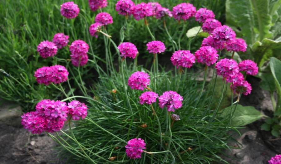 Превью изображения