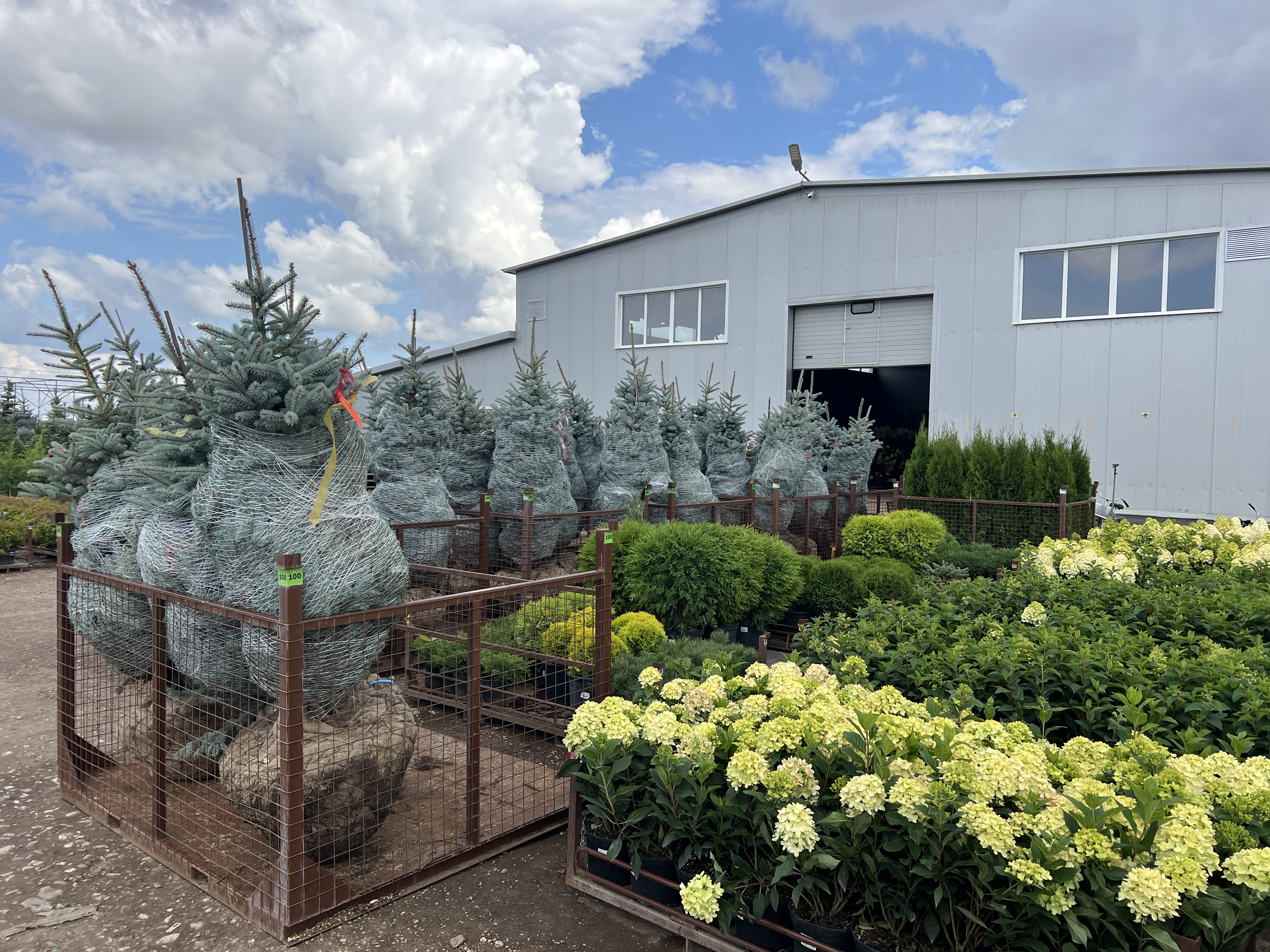 Превью изображения