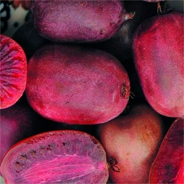 Превью изображения