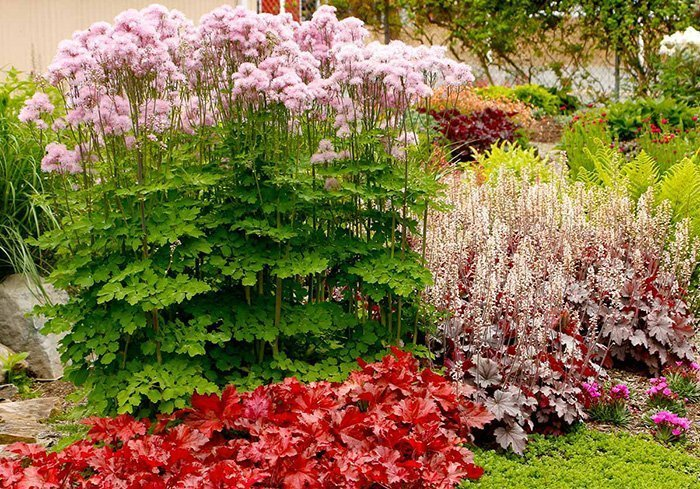 Превью изображения