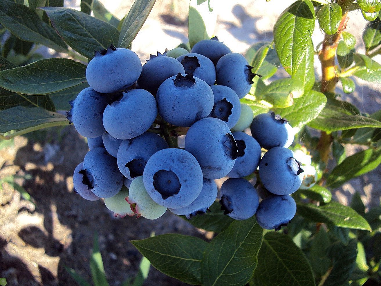 Превью изображения