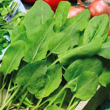 Превью изображения