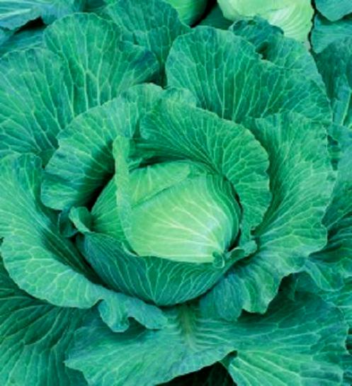 Превью изображения