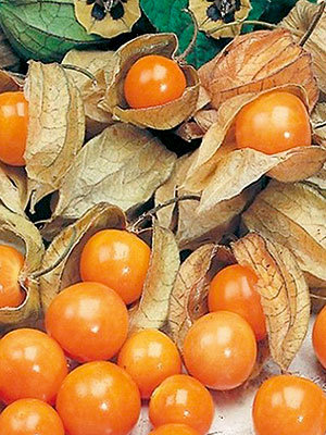 Превью изображения