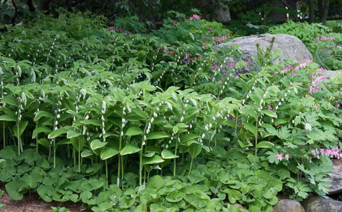 Превью изображения