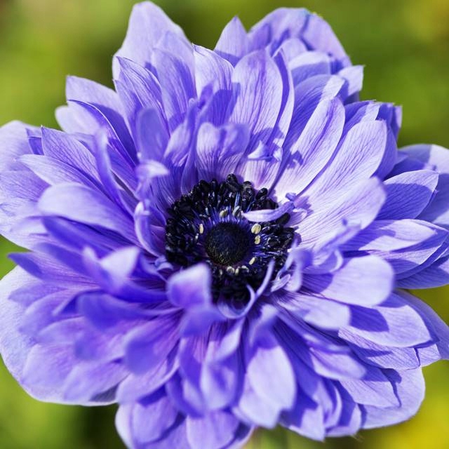 Превью изображения