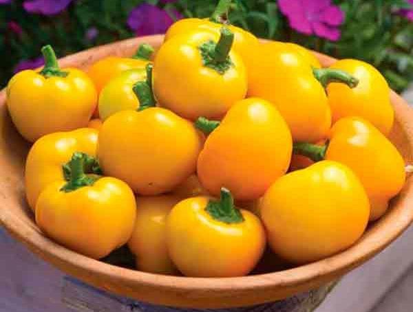 Превью изображения