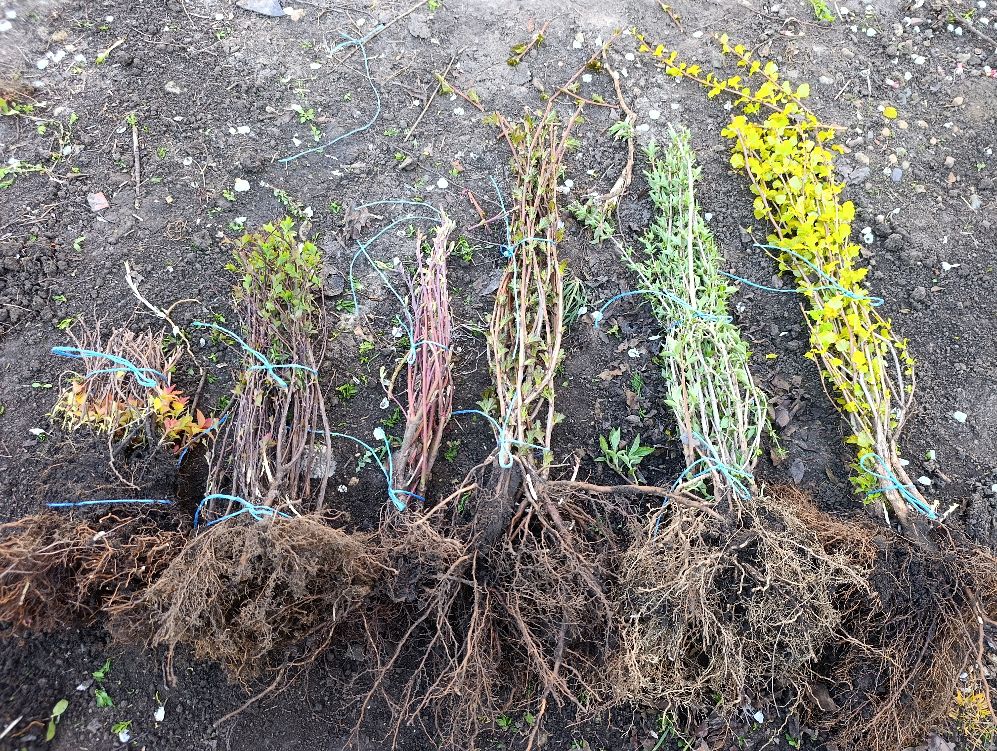 Превью изображения