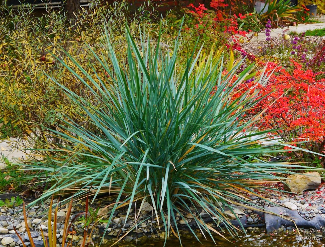 Превью изображения