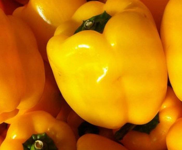 Превью изображения