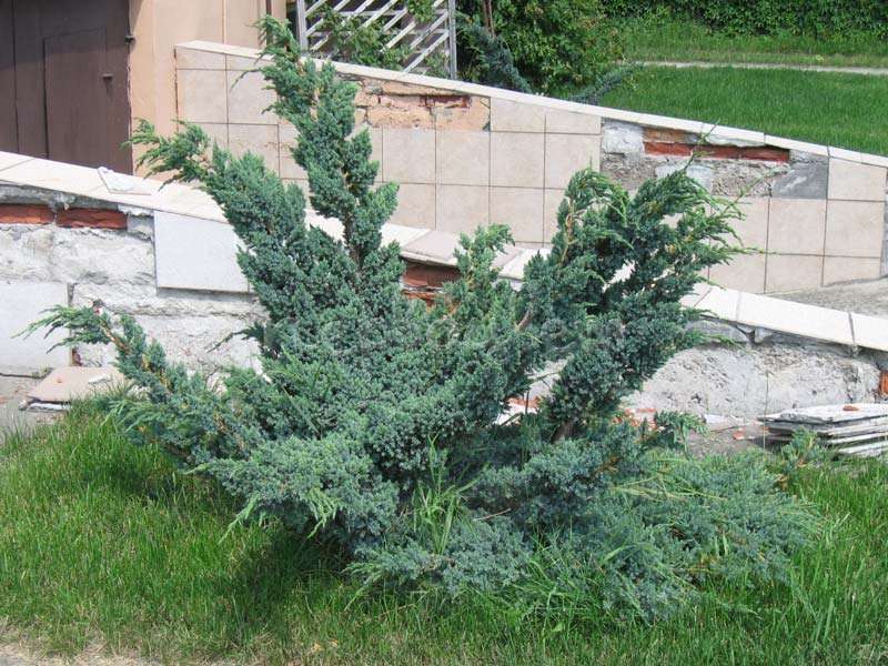 Превью изображения