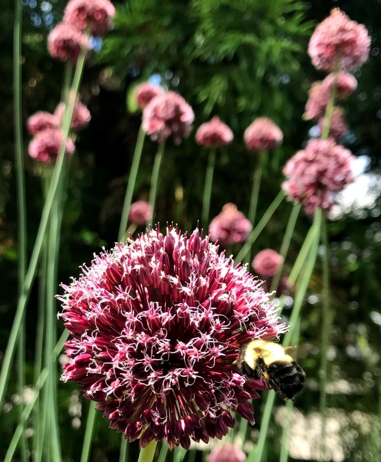 Превью изображения