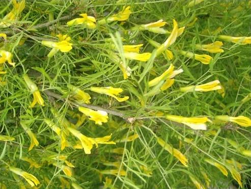 Превью изображения