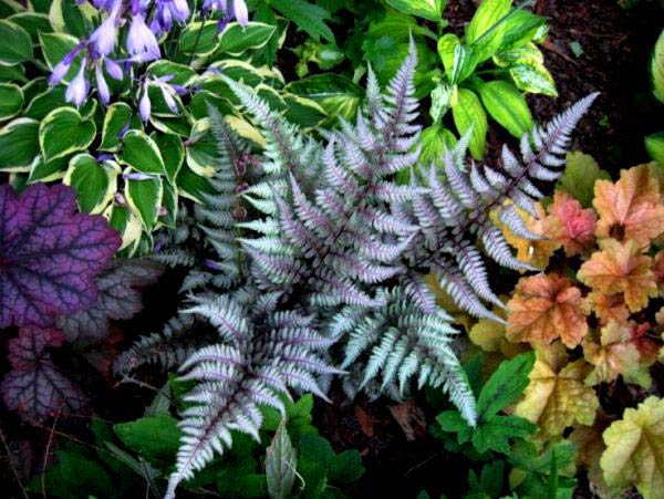 Превью изображения